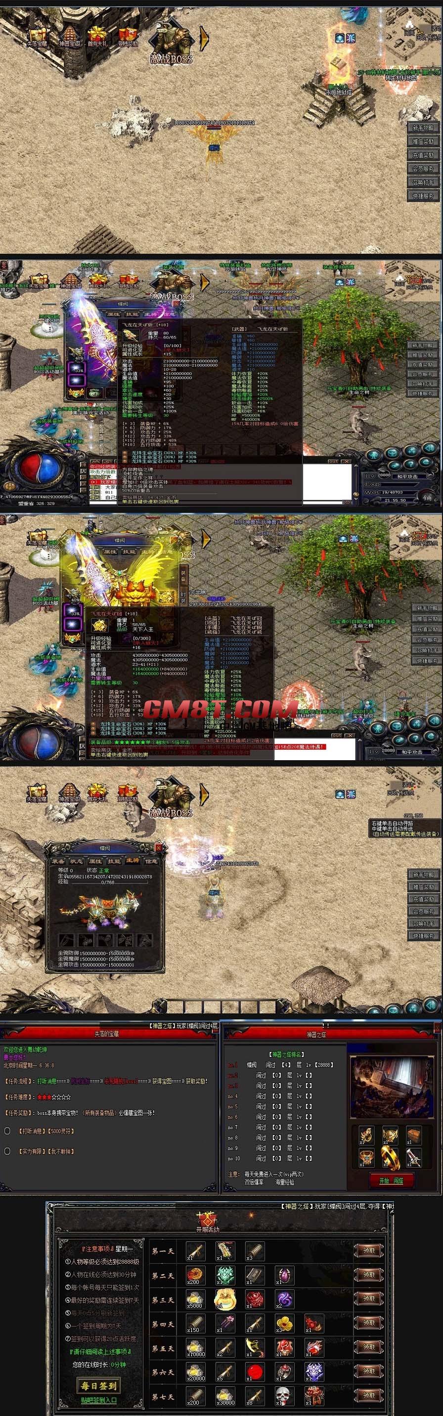 11.jpg