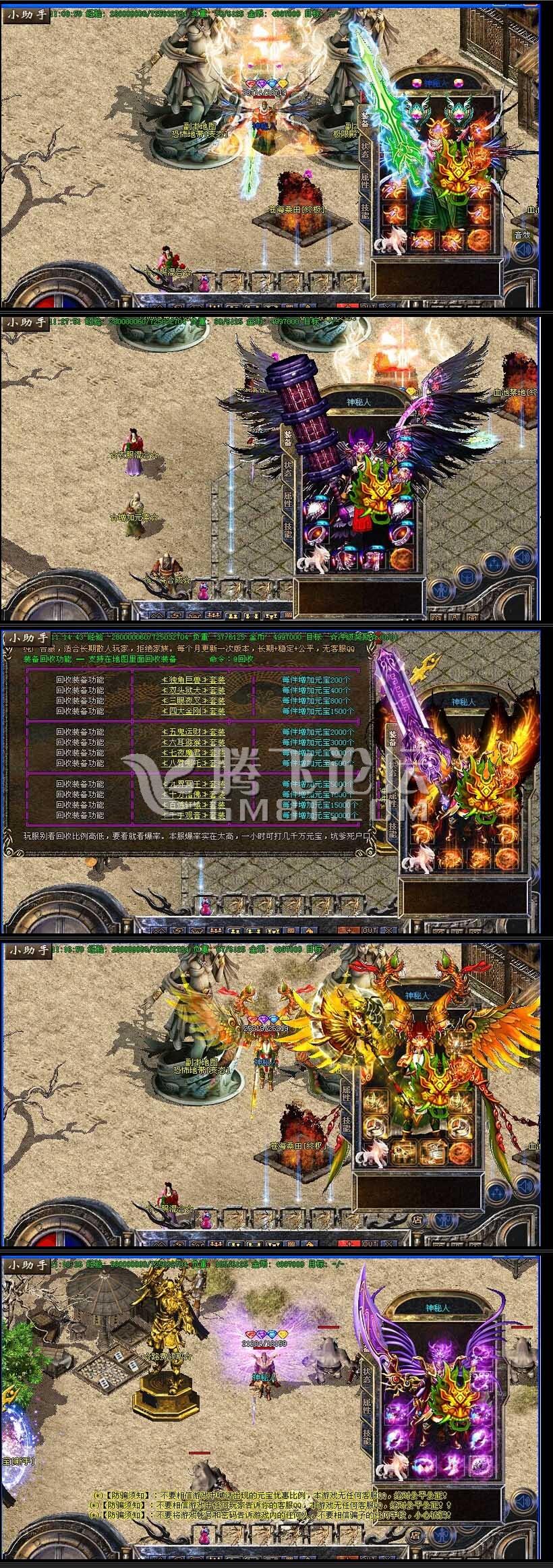 11.jpg