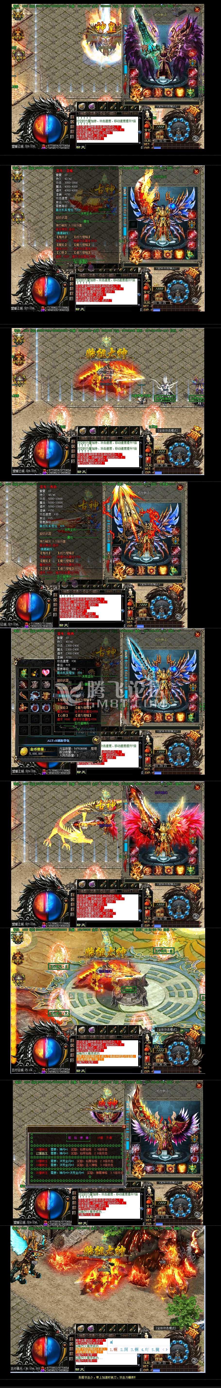 11.jpg