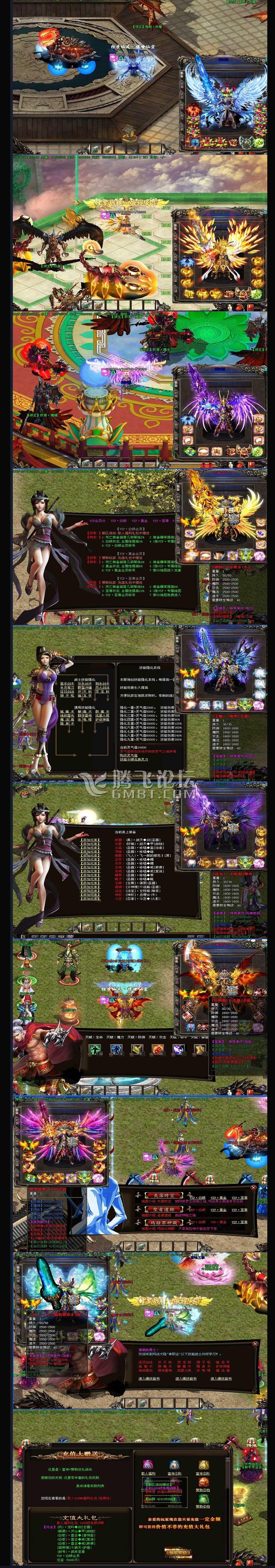 11.jpg
