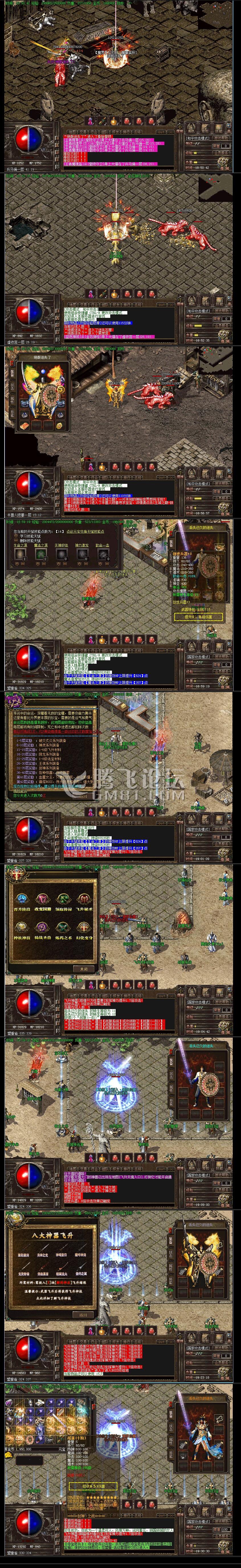 11.jpg