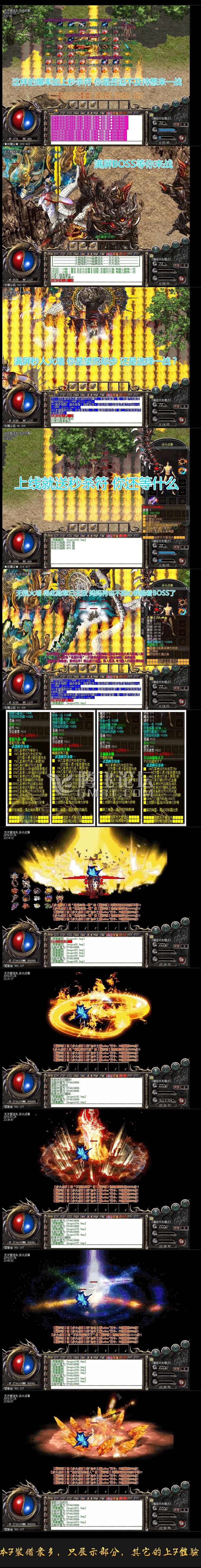 11.jpg
