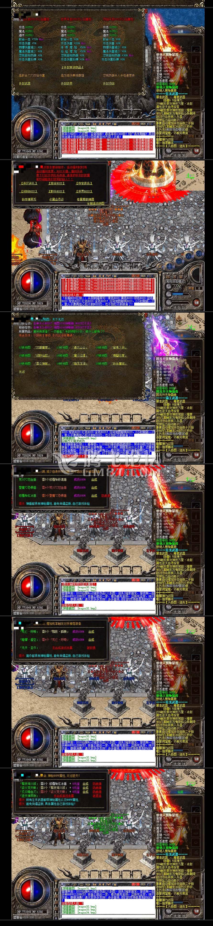 11.jpg