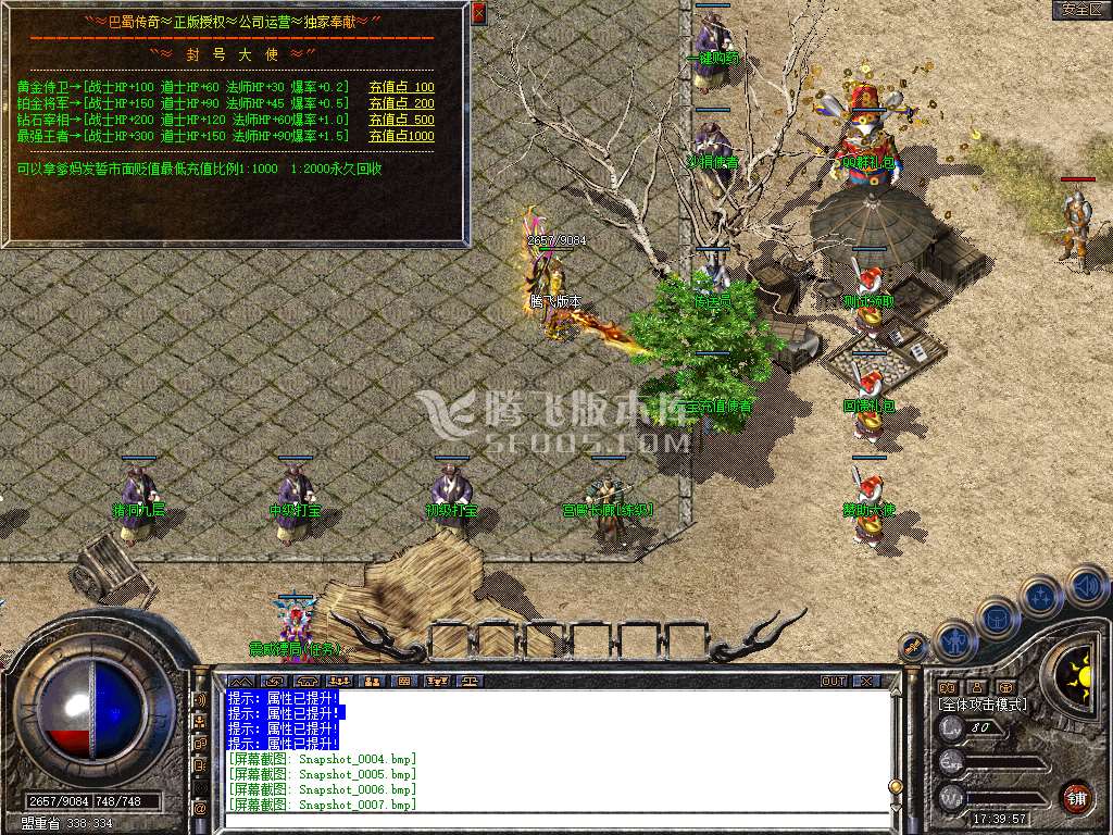 Snapshot_0008.jpg