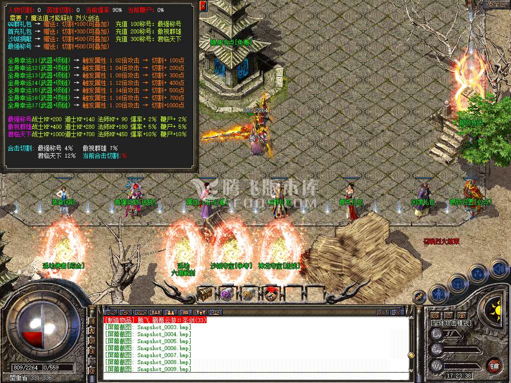 Snapshot_0010.jpg
