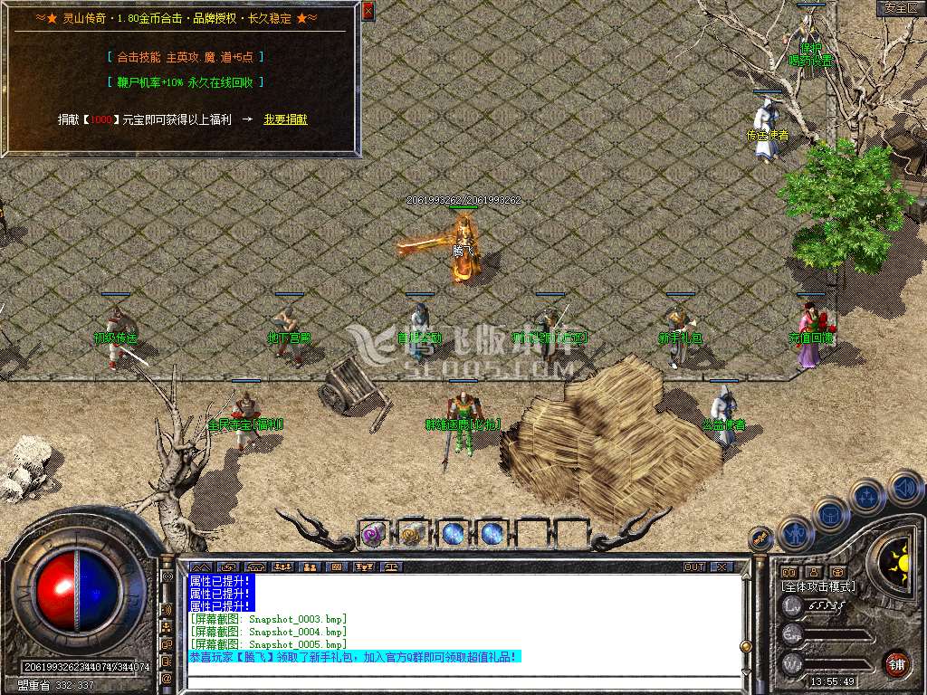 Snapshot_0006.jpg