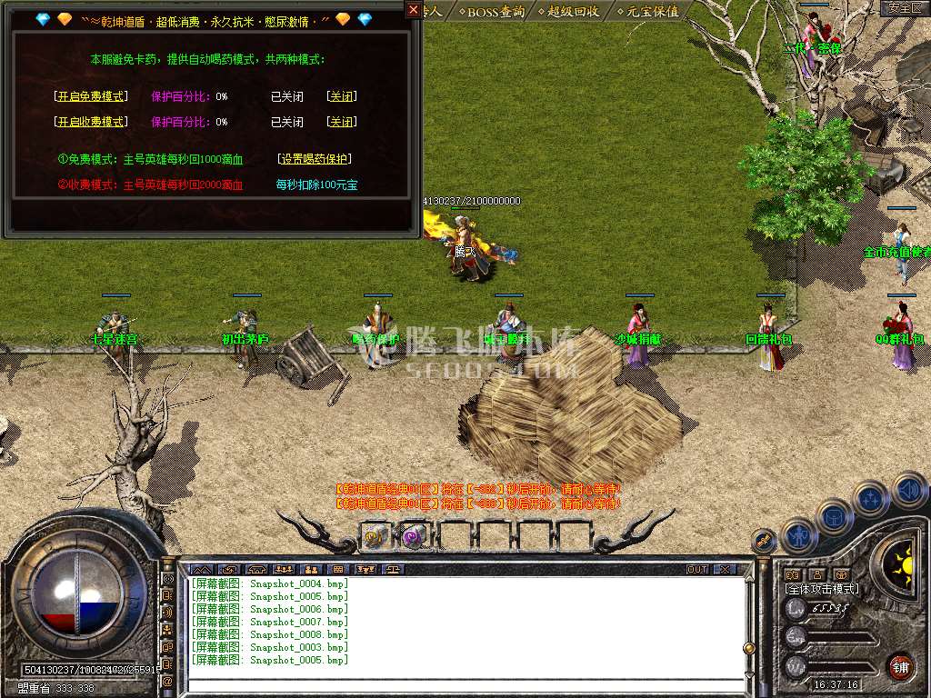 Snapshot_0009.jpg