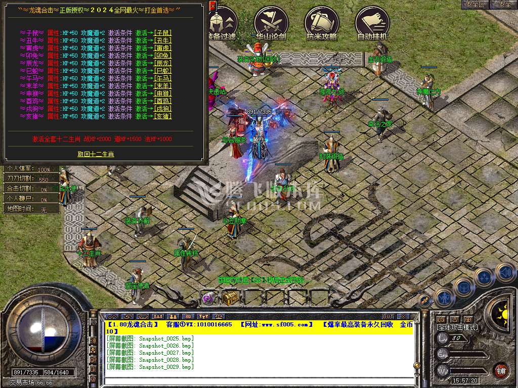 Snapshot_0030.jpg