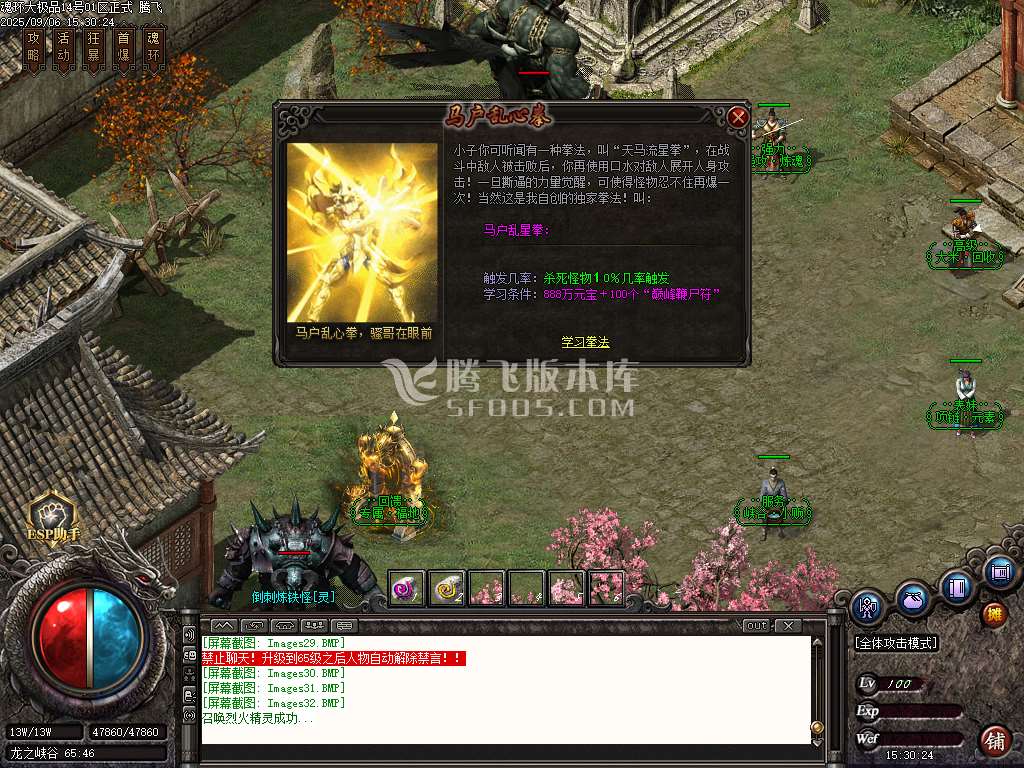 9月1.85魂环大极品攻速单职业GM版本库-五大陆-神器铸造-仿麻勋章-血牛体魄